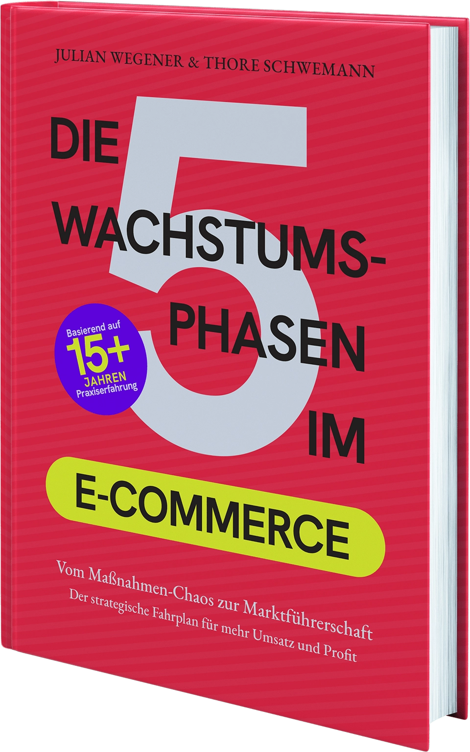 Abbildung: Die 5 Wachstums-Phasen im E-Commerce